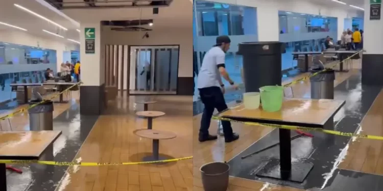 Goteras en el AICM tras fuerte lluvia en CDMX
