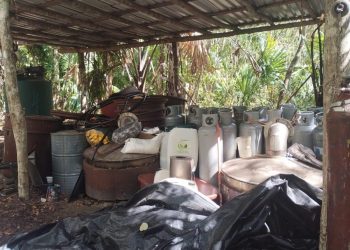 Encuentran narcolaboratorio en Carrillo Puerto durante operativo