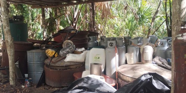 Encuentran narcolaboratorio en Carrillo Puerto durante operativo