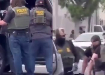 ICE golpea a jardinero mexicano: indignación en México