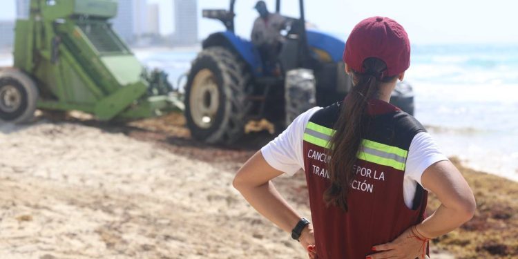 Ana Paty Peralta asegura que Cancún está listo para el sargazo