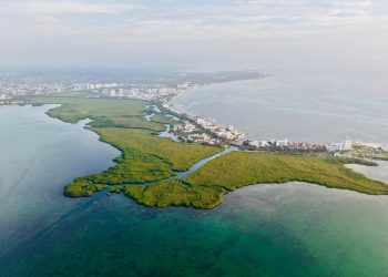 Ana Paty Peralta lidera jornada ambiental en manglares de Nichupté