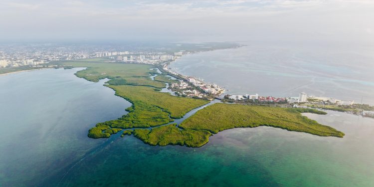 Ana Paty Peralta lidera jornada ambiental en manglares de Nichupté