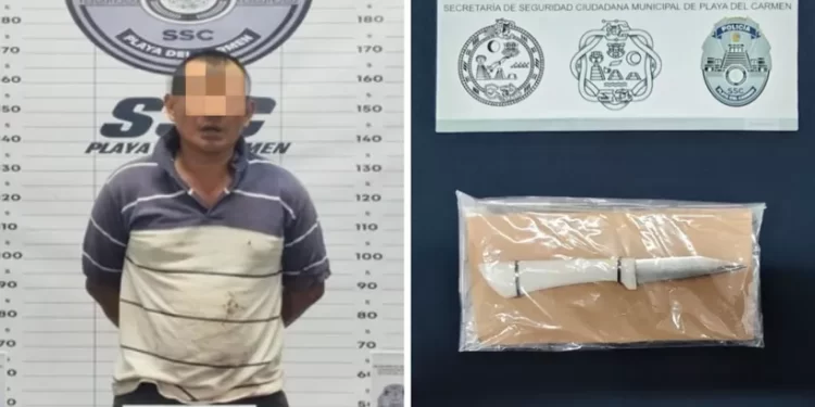 Hombre mata a perro en colonia Nicte-Ha