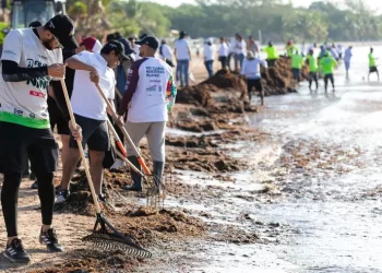 Más de 19 mil toneladas fuera del mar en Playa del Carmen