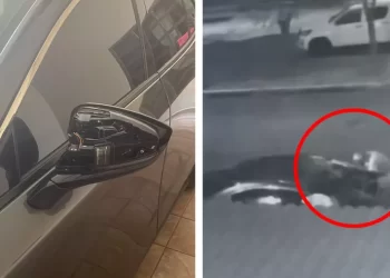 Alerta en Cancún por ola de robos: desmantelan autos en plena calle