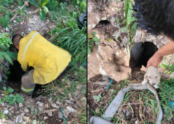 Bomberos logran emotivo rescate en cenote de Rancho Viejo