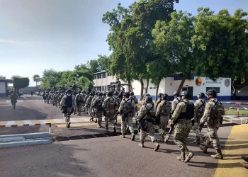 Militares en Sinaloa contra terrorismo fallan