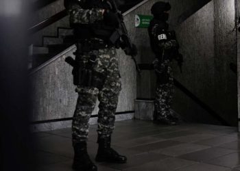 Cárteles mexicanos en África: EE.UU. lanza fuerte advertencia