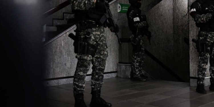 Cárteles mexicanos en África: EE.UU. lanza fuerte advertencia