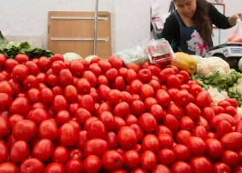 Jitomate mexicano enfrenta arancel del 21% en EE.UU.