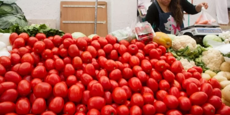 Jitomate mexicano enfrenta arancel del 21% en EE.UU.