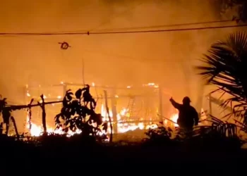 Incendio en Cancún deja 4 perritos calcinados y un auto destruido