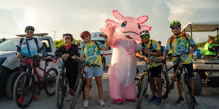 Rodada “Pedaleando por los Manglares” rompe récord en Isla Mujeres
