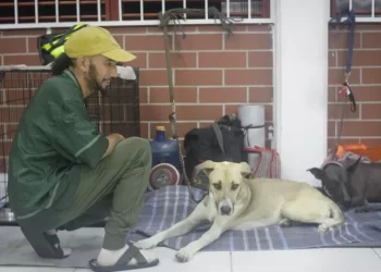 Refugios pet friendly ya operan en los 11 municipios de Quintana Roo