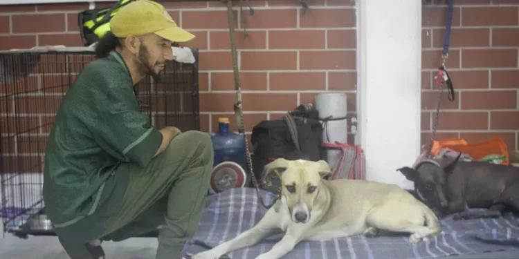 Refugios pet friendly ya operan en los 11 municipios de Quintana Roo