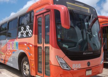 ¡Atención! Trámites y servicio en Cancún para transporte público y tarjeta de descuento