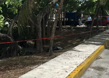 Encuentran cuerpo sin vida dentro de bolsas en la Región 100, Cancún