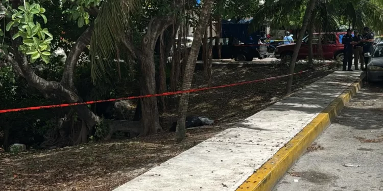 Encuentran cuerpo sin vida dentro de bolsas en la Región 100, Cancún