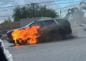 Crimen de delegado en Tamaulipas ligado al decomiso de huachicol