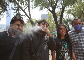 CDMX habilita oasis verdes para mariguana