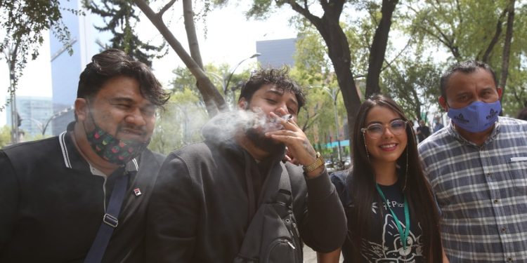 CDMX habilita oasis verdes para mariguana