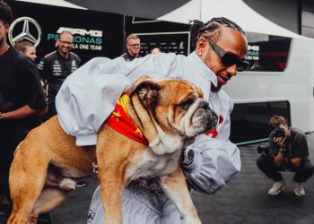 Roscoe, perro de Lewis Hamilton, muere tras lucha médica