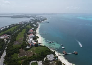 Reforestan arrecifes y recuperan una hectárea en Cancún