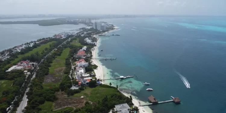 Reforestan arrecifes y recuperan una hectárea en Cancún