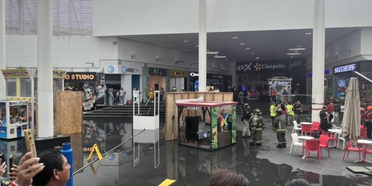 Cancún se suma al Simulacro Nacional 2025 con amplia participación
