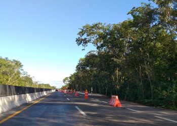 Hallan restos humanos tras atropellamiento en carretera Cancún-Mérida