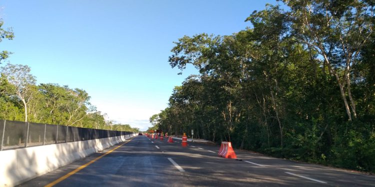 Hallan restos humanos tras atropellamiento en carretera Cancún-Mérida