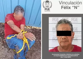 Vinculan a proceso a Félix “N” por abusar de perrita en Playa del Carmen