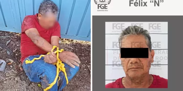Vinculan a proceso a Félix “N” por abusar de perrita en Playa del Carmen
