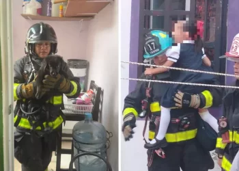 Niña y perrito rescatados tras incendio en Playa del Carmen