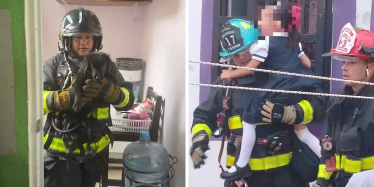 Niña y perrito rescatados tras incendio en Playa del Carmen