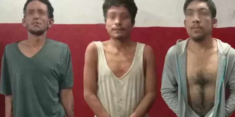 SSC rescata a tres hombres secuestrados en Othón P. Blanco