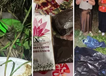 Incineradora Xibalbá en Chetumal entregaba tierra en lugar de cenizas