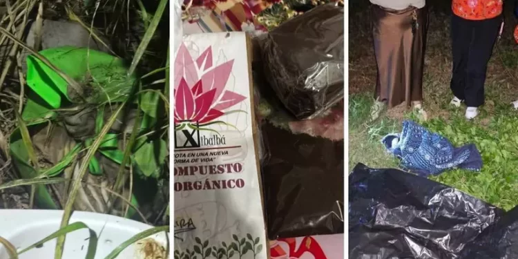 Incineradora Xibalbá en Chetumal entregaba tierra en lugar de cenizas