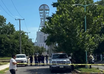 No quedará impune el caso del crematorio de mascotas en Chetumal, aseguran autoridades estatales