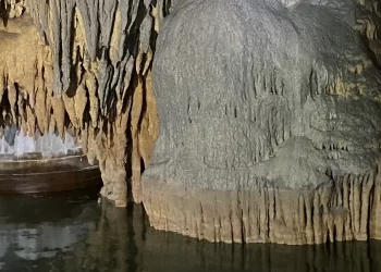 Revelan más cuevas dañadas por megaproyecto ferroviario en Quintana Roo