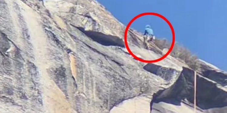 Ell escalador que cayó en vivo desde Yosemite