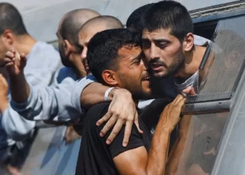 Cruzan a Egipto 154 palestinos liberados por Israel