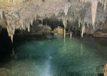 Semarnat reconoce daños ambientales en cuevas y cenotes causados por el Tren Maya