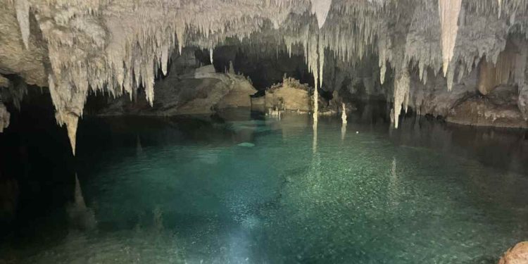 Semarnat reconoce daños ambientales en cuevas y cenotes causados por el Tren Maya