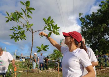 Ana Paty Peralta lidera la 12ª edición del Programa de Arborización Urbana Municipal 2025–2027