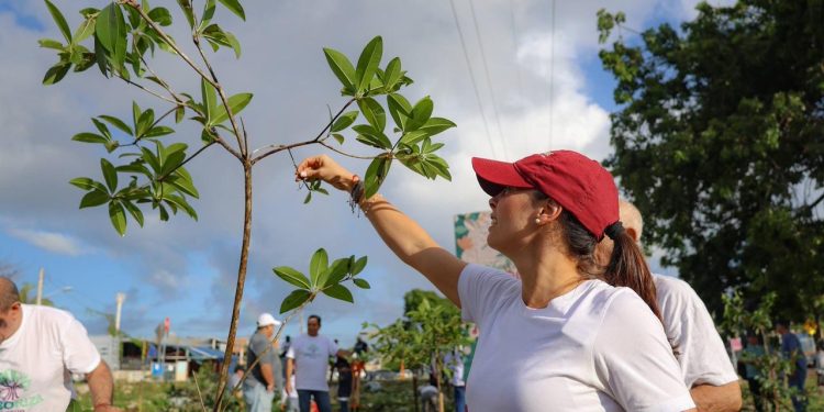 Ana Paty Peralta lidera la 12ª edición del Programa de Arborización Urbana Municipal 2025–2027