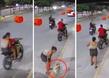 VIDEO | Captan a pareja robando perrito pug en el fraccionamiento Cielo Nuevo, en Cancún