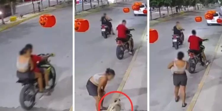 VIDEO | Captan a pareja robando perrito pug en el fraccionamiento Cielo Nuevo, en Cancún