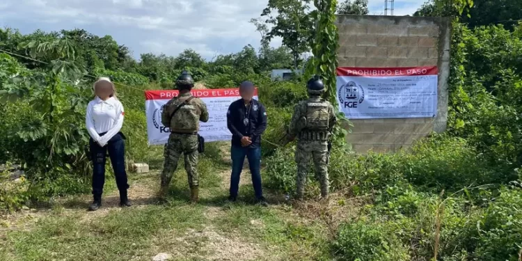 Aseguran enorme predio irregular en Bonfil tras denuncias